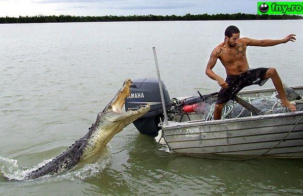 Haioase si sexi - e222a3b24baa4e84a55307e73c79432d.jpeg